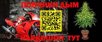 крисы Кимры