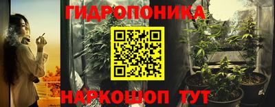 крисы Кимры