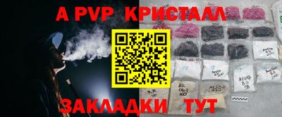 крисы Кимры