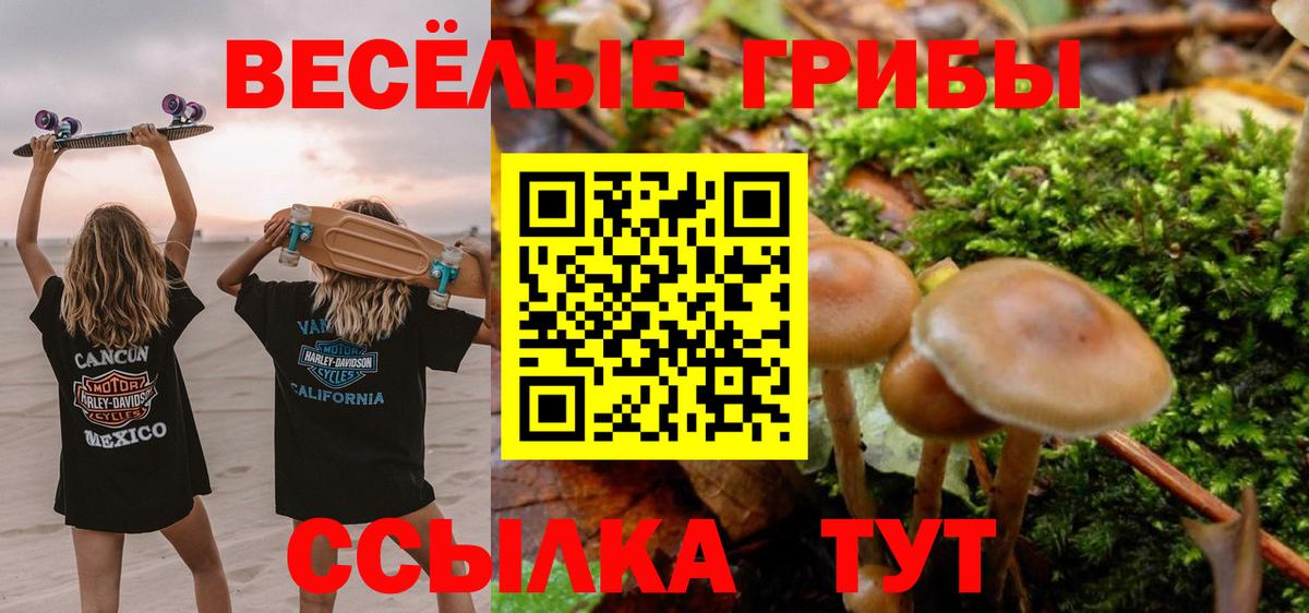 Кохма  Галлюциногенные грибы мицелий  Вход с VPN 